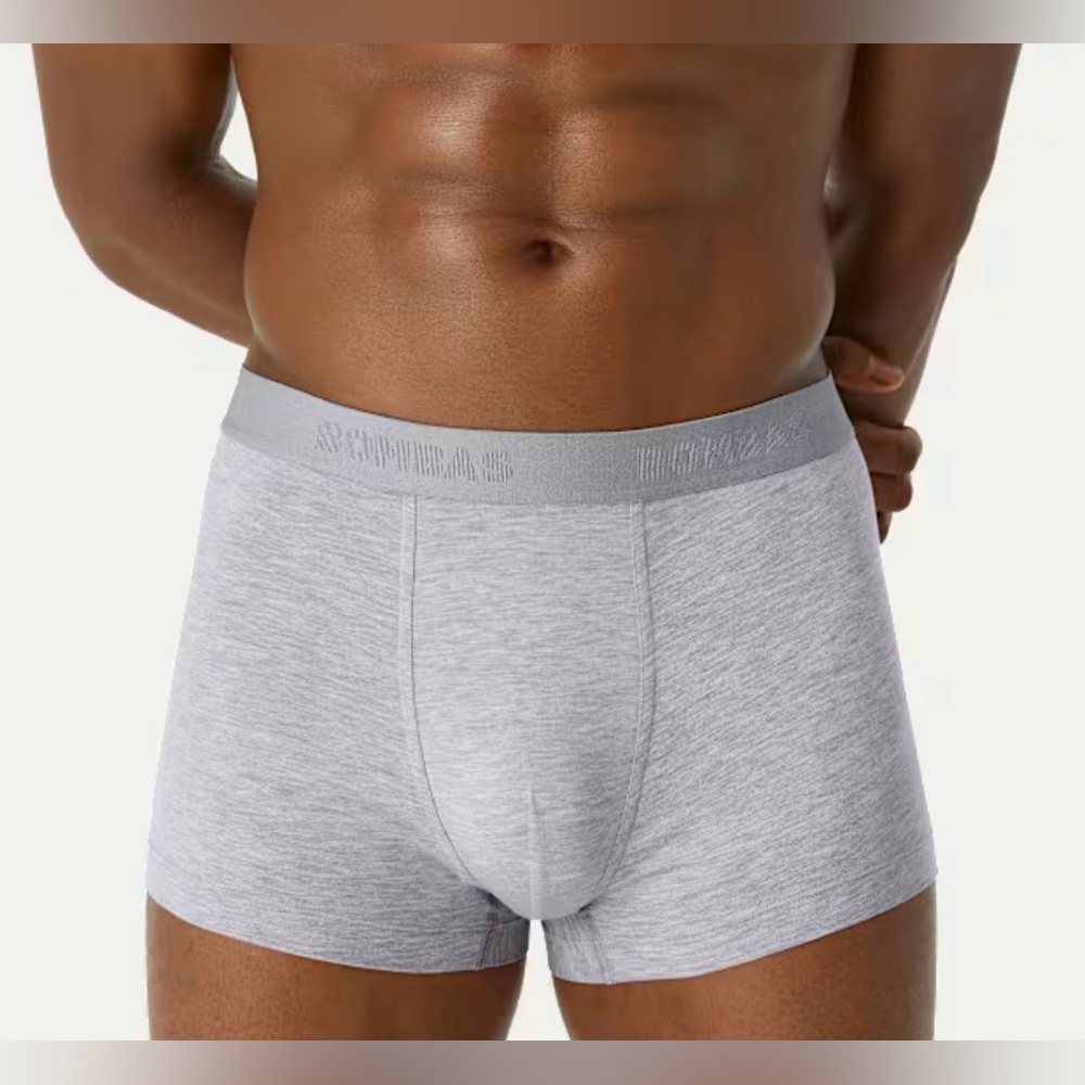 NIP Bombas Men’s Cotton Modal Blend Boxer Brief Heather Grey Sz L